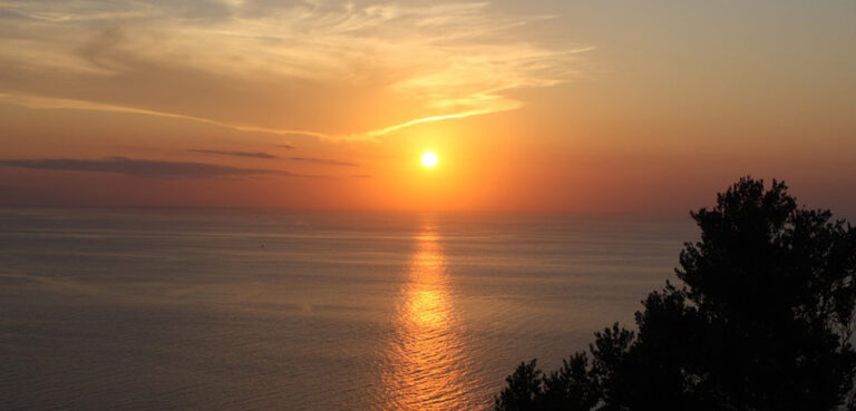 Apartments Tasha | Osvrt na sezonu 2017